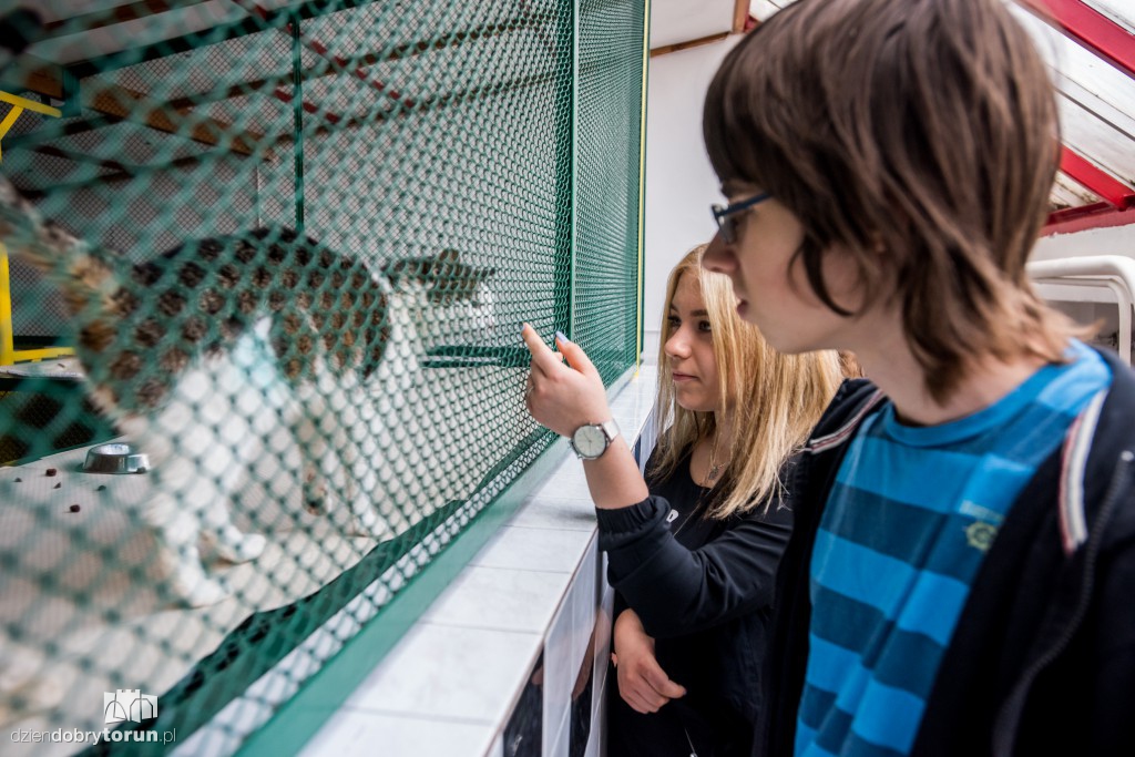 Ósemka odwiedziła schronisko