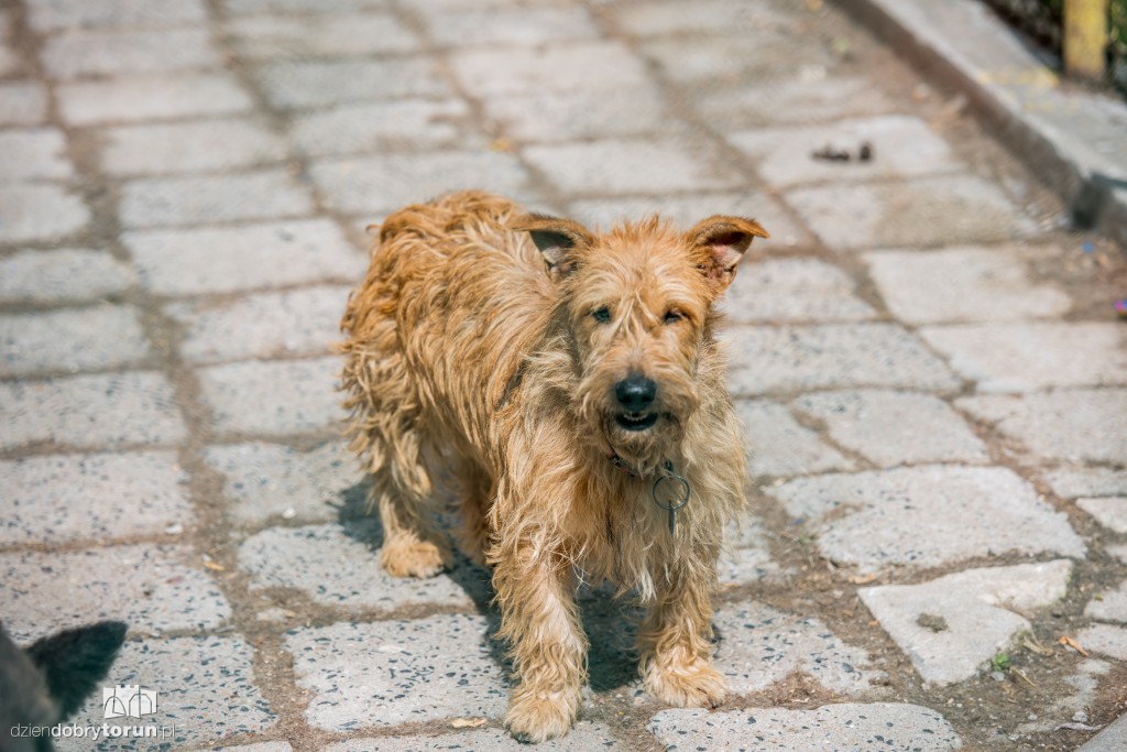Ósemka odwiedziła schronisko