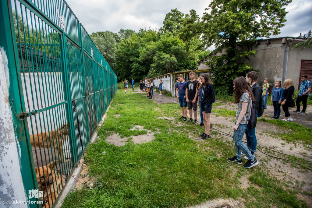 Ósemka odwiedziła schronisko