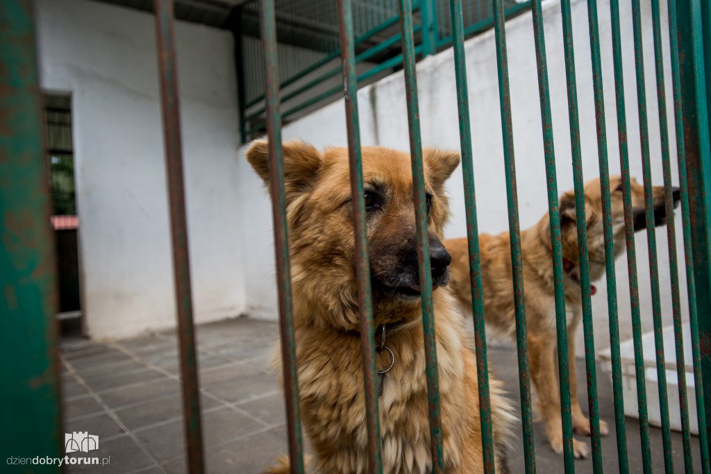 Ósemka odwiedziła schronisko