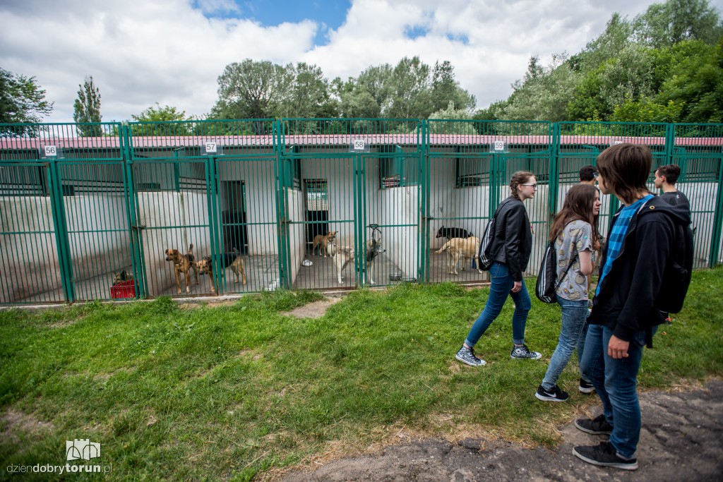 Ósemka odwiedziła schronisko