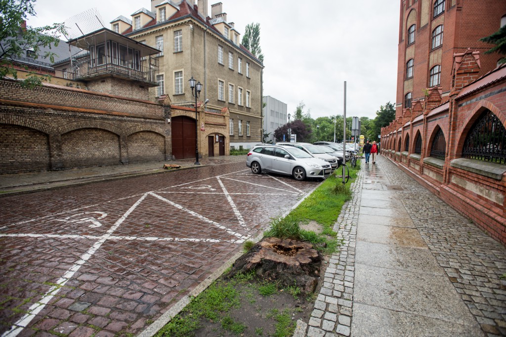 Po wycince na Fosie zrobiło się pusto