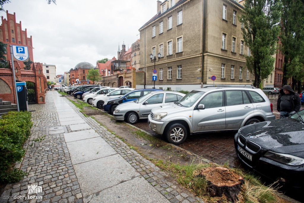 Po wycince na Fosie zrobiło się pusto