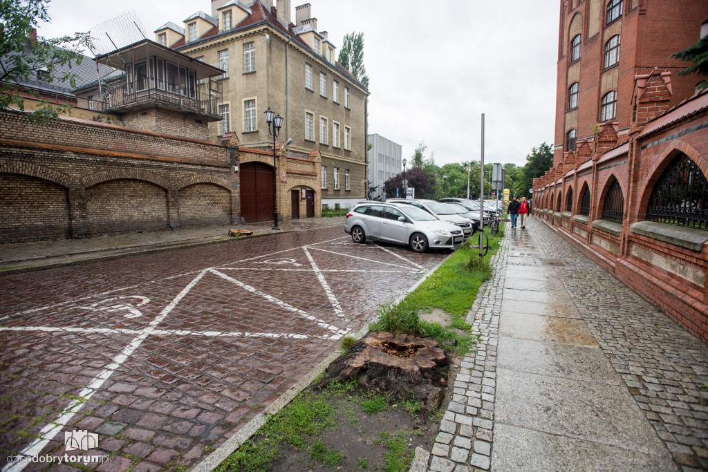 Po wycince na Fosie zrobiło się pusto