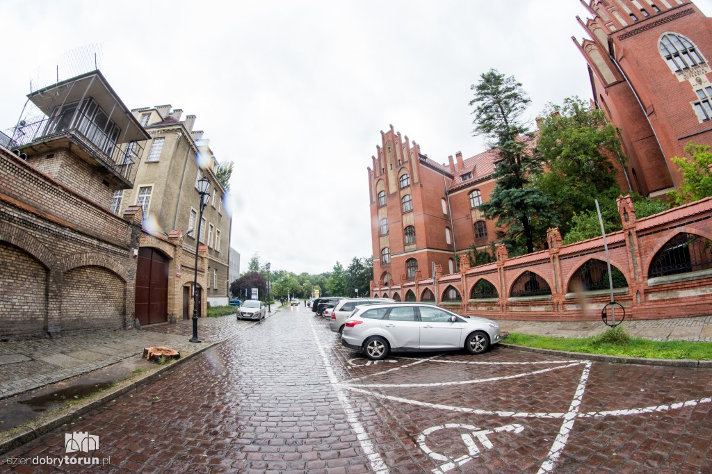 Po wycince na Fosie zrobiło się pusto