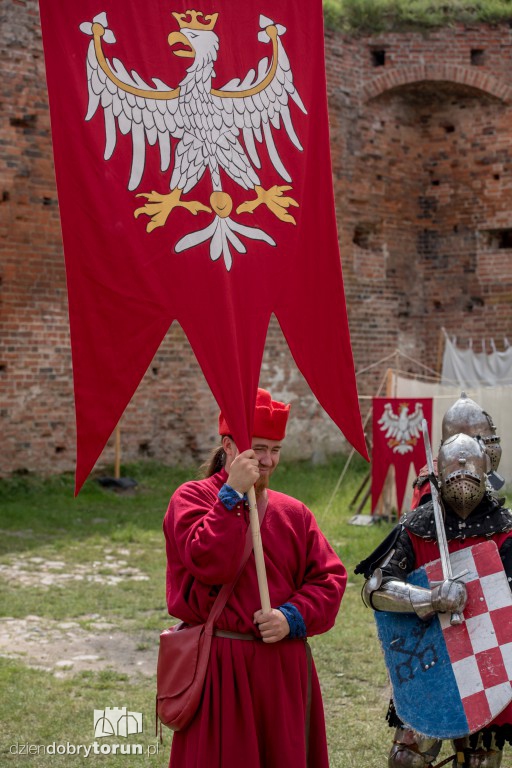 Festyn historyczny na Zamku