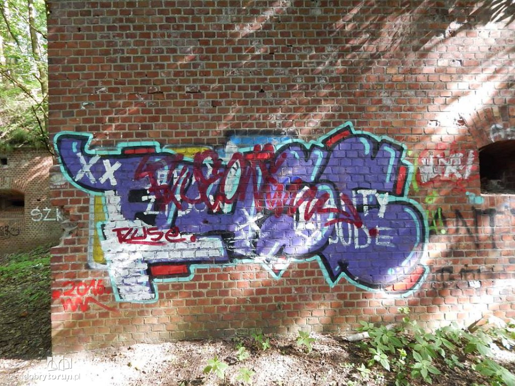 Tak są dewastowane zabytkowe forty