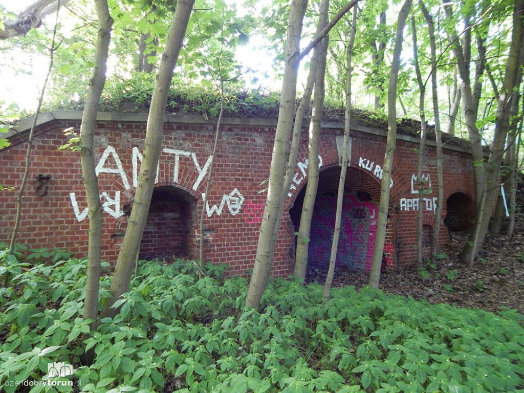 Tak są dewastowane zabytkowe forty