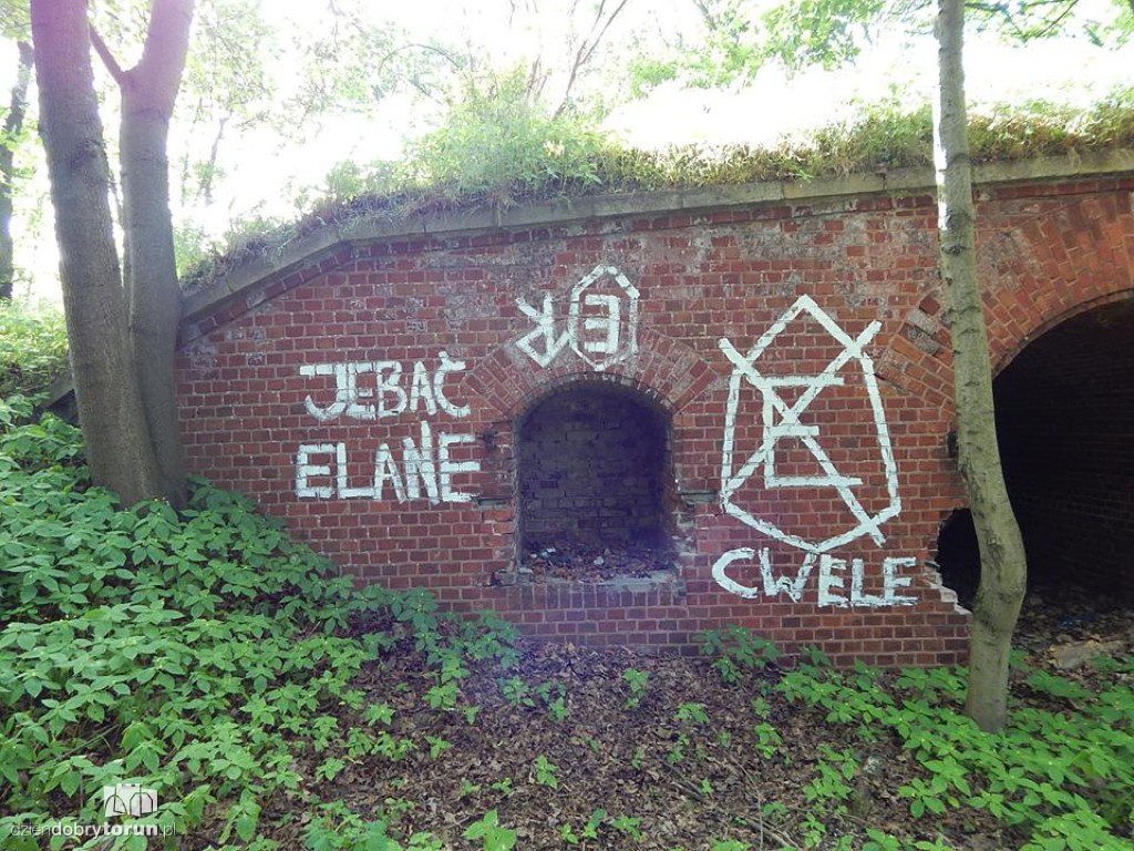 Tak są dewastowane zabytkowe forty