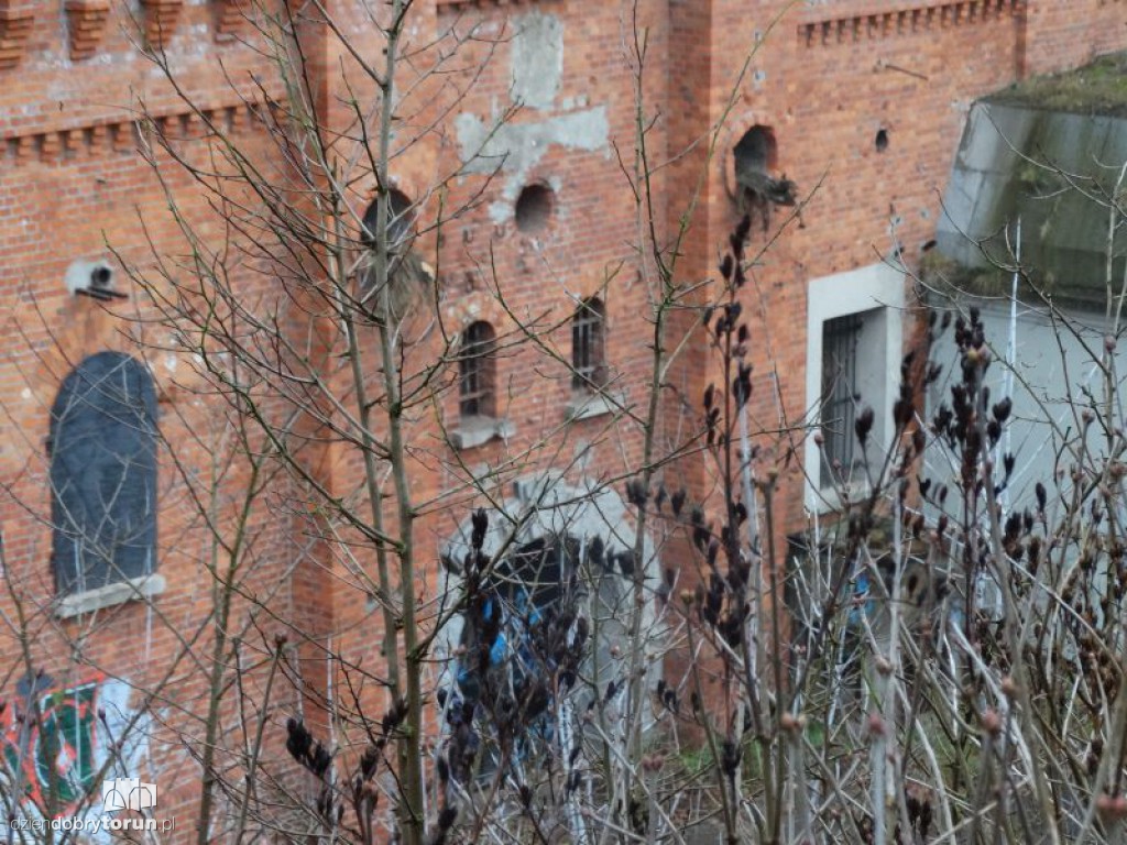 Fort I do wynajęcia za złotówkę