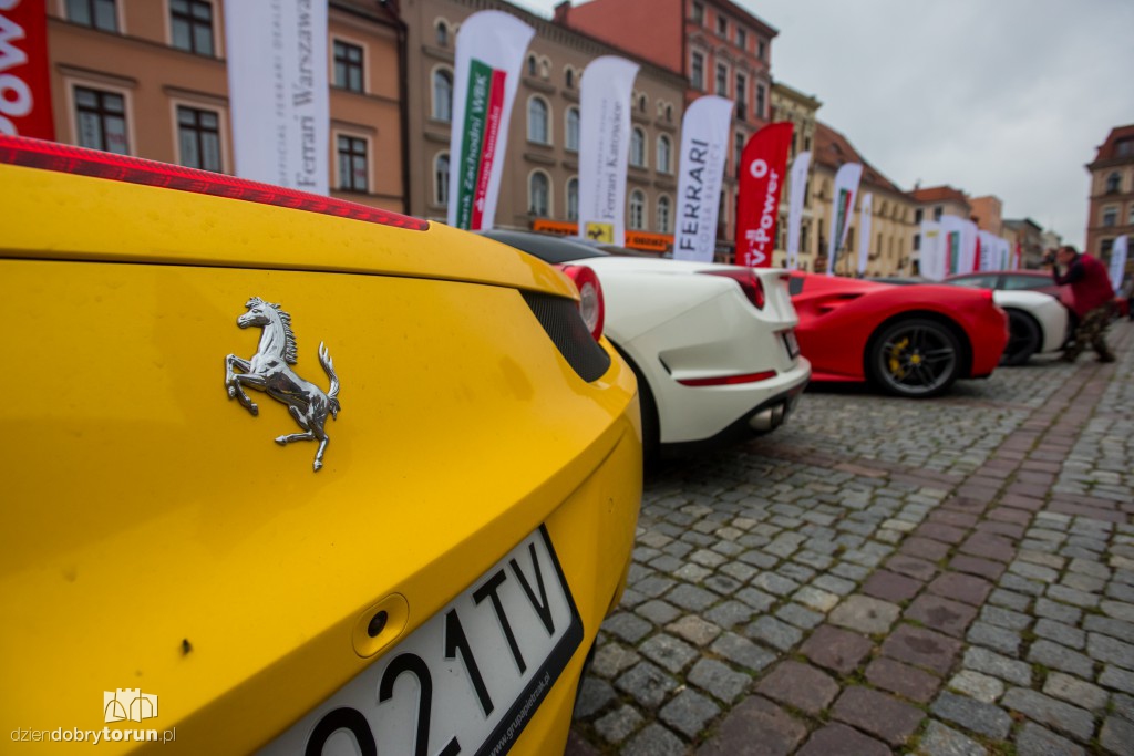 Ferrari opanowały Rynek Nowomiejski