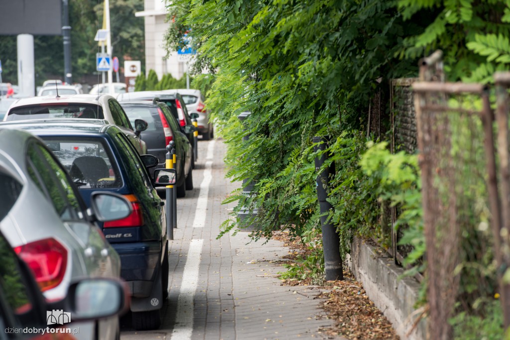 Zarośniętą ul. Szumana ciężko przejść