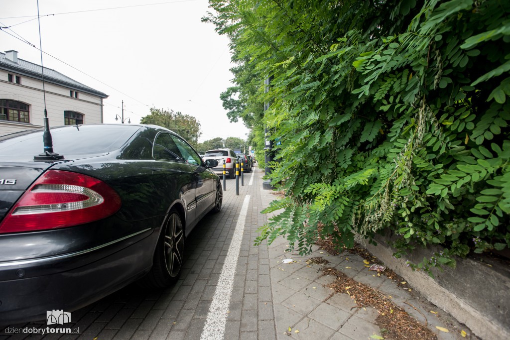 Zarośniętą ul. Szumana ciężko przejść