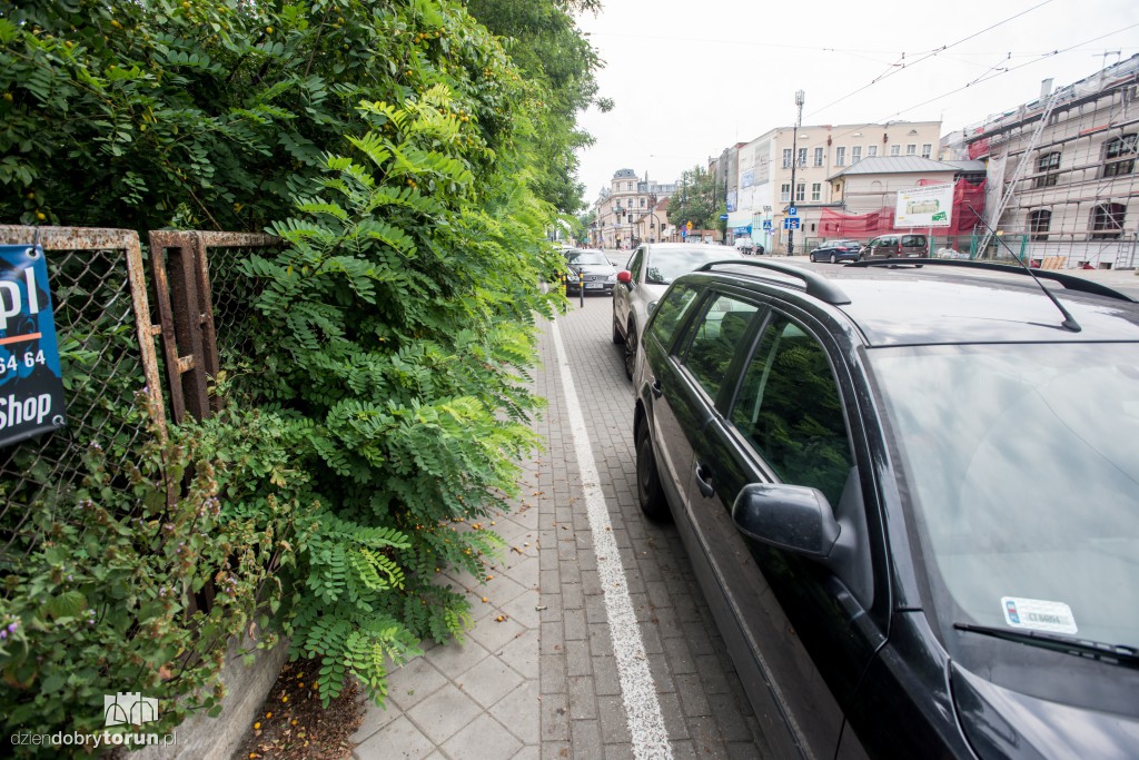 Zarośniętą ul. Szumana ciężko przejść