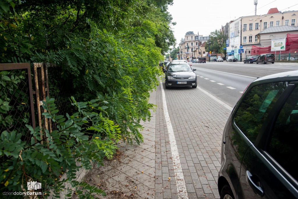 Zarośniętą ul. Szumana ciężko przejść