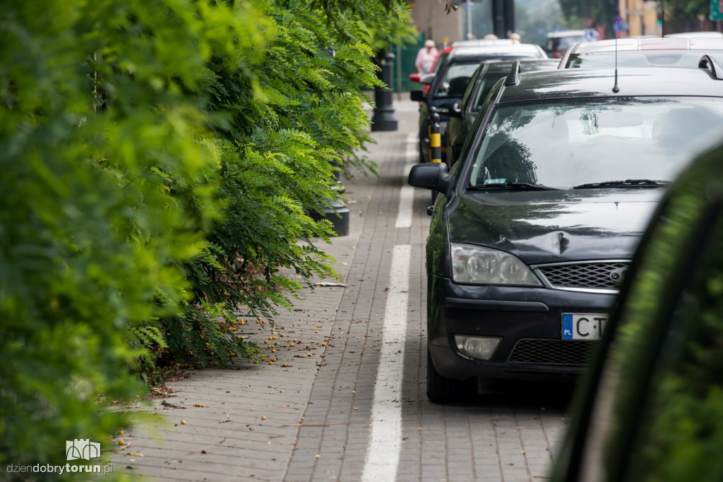 Zarośniętą ul. Szumana ciężko przejść