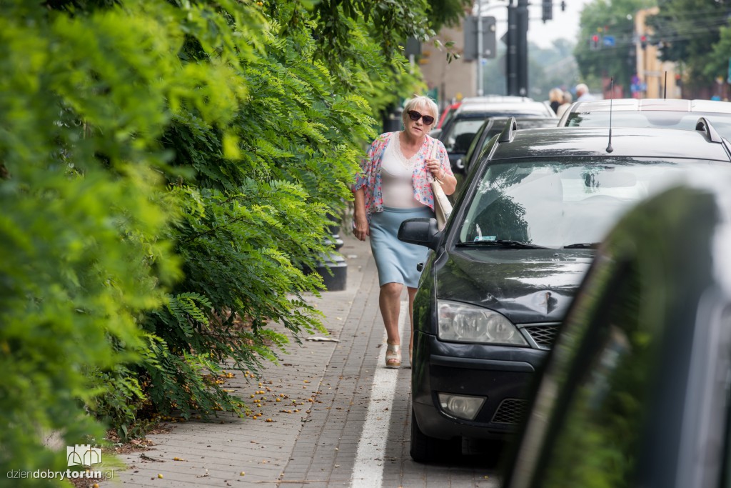 Zarośniętą ul. Szumana ciężko przejść