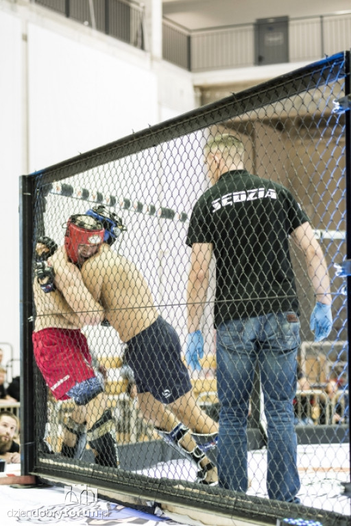 V Mistrzostwa Polski Służb Mundurowych w MMA