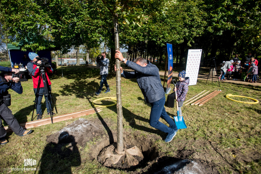 Przedszkolaki sadziły młode dęby