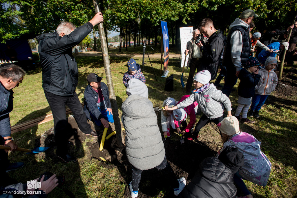 Przedszkolaki sadziły młode dęby