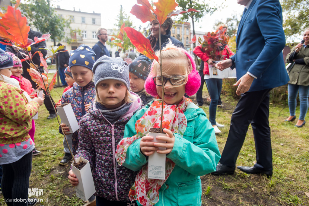 Przedszkolaki sadziły młode dęby