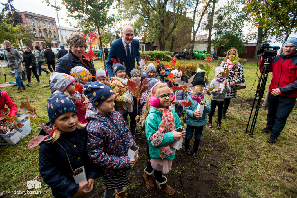 Przedszkolaki sadziły młode dęby