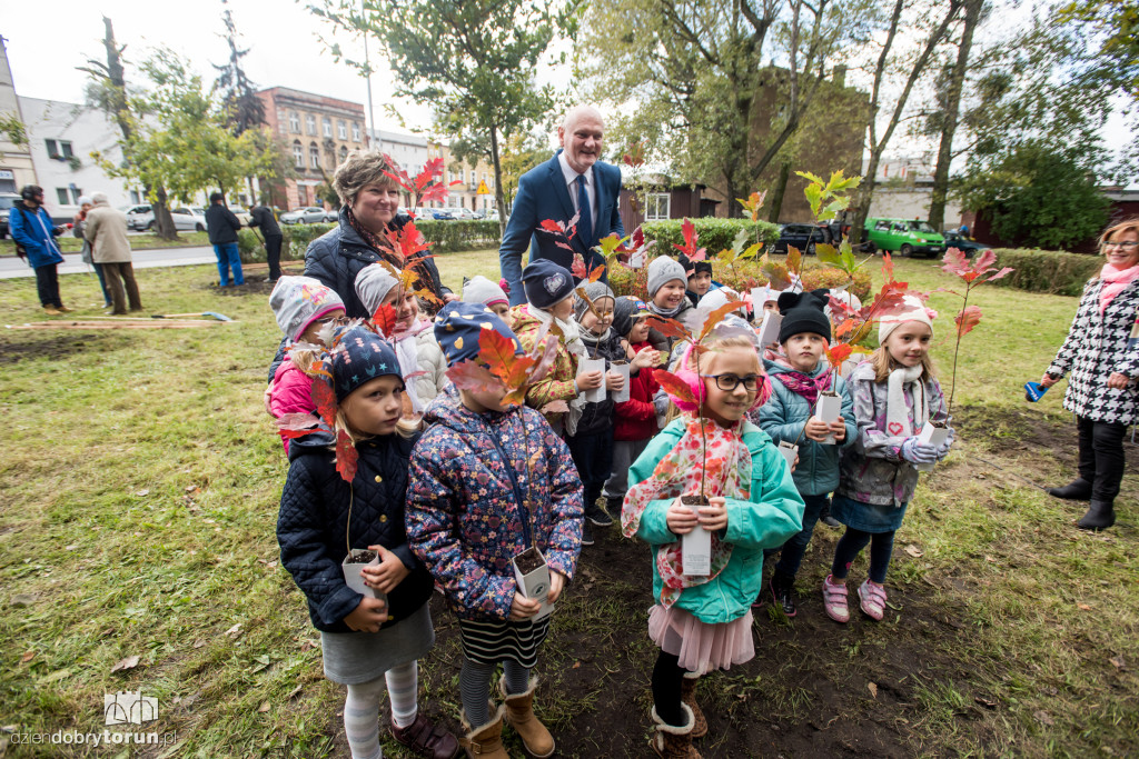 Przedszkolaki sadziły młode dęby