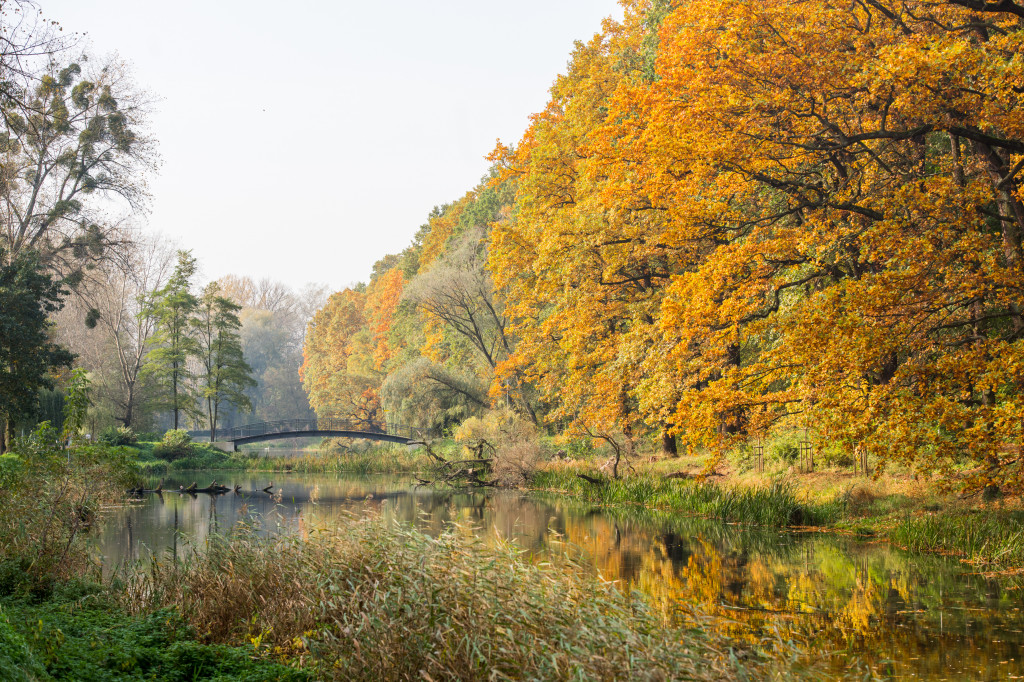 Ale pięknie! Jesień w Toruniu