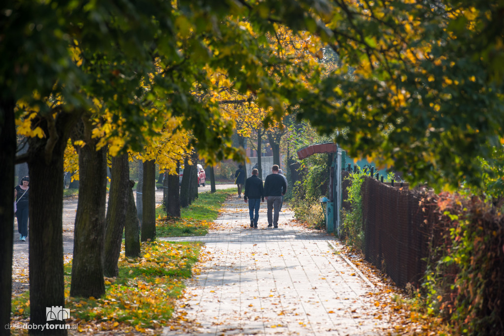 Ale pięknie! Jesień w Toruniu