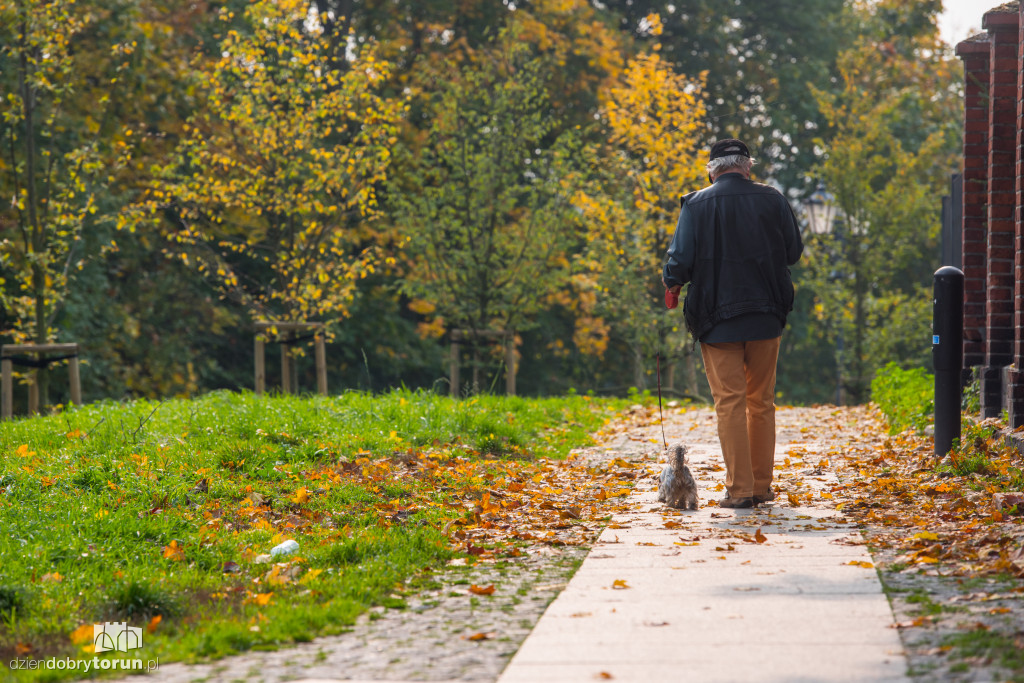Ale pięknie! Jesień w Toruniu