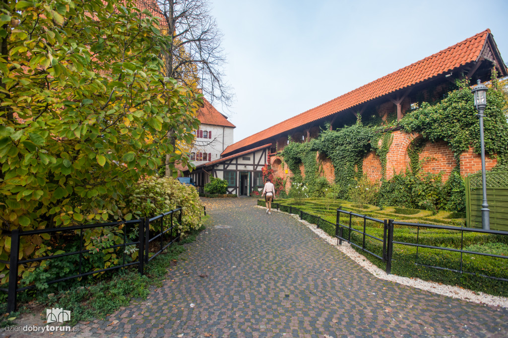 Ale pięknie! Jesień w Toruniu