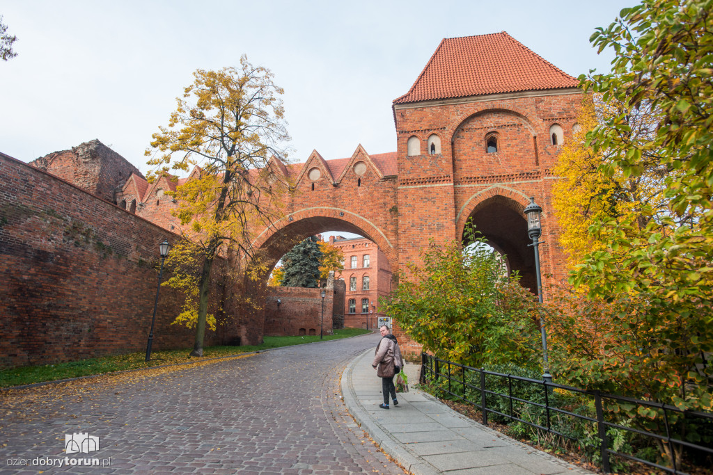 Ale pięknie! Jesień w Toruniu