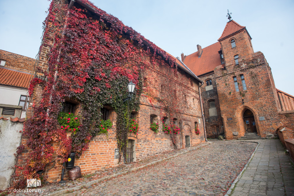 Ale pięknie! Jesień w Toruniu