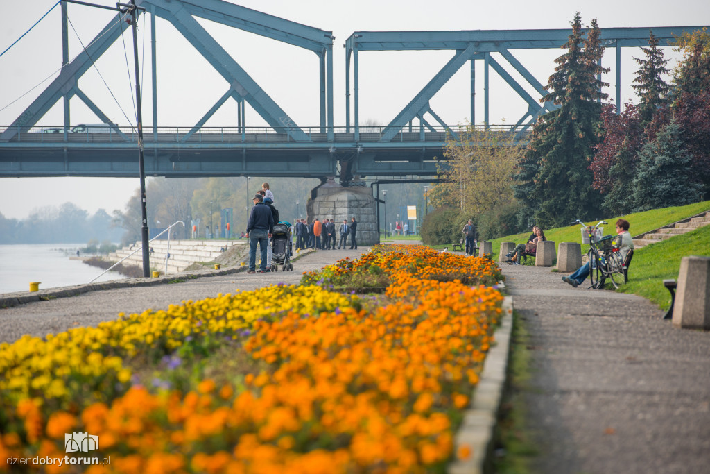 Ale pięknie! Jesień w Toruniu