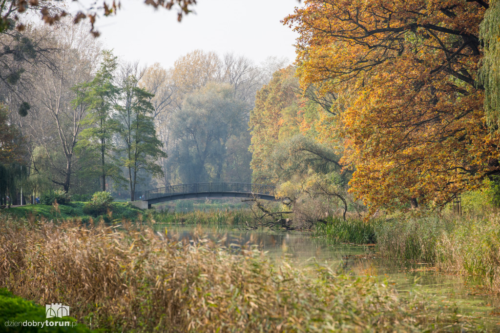 Ale pięknie! Jesień w Toruniu