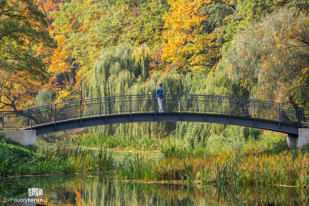 Ale pięknie! Jesień w Toruniu
