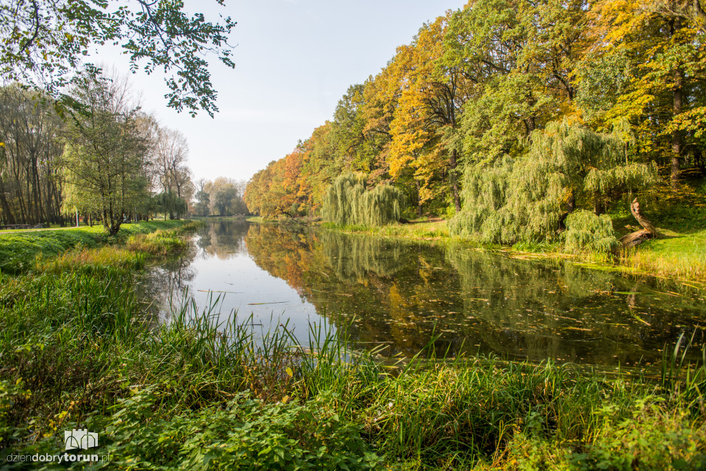 Ale pięknie! Jesień w Toruniu