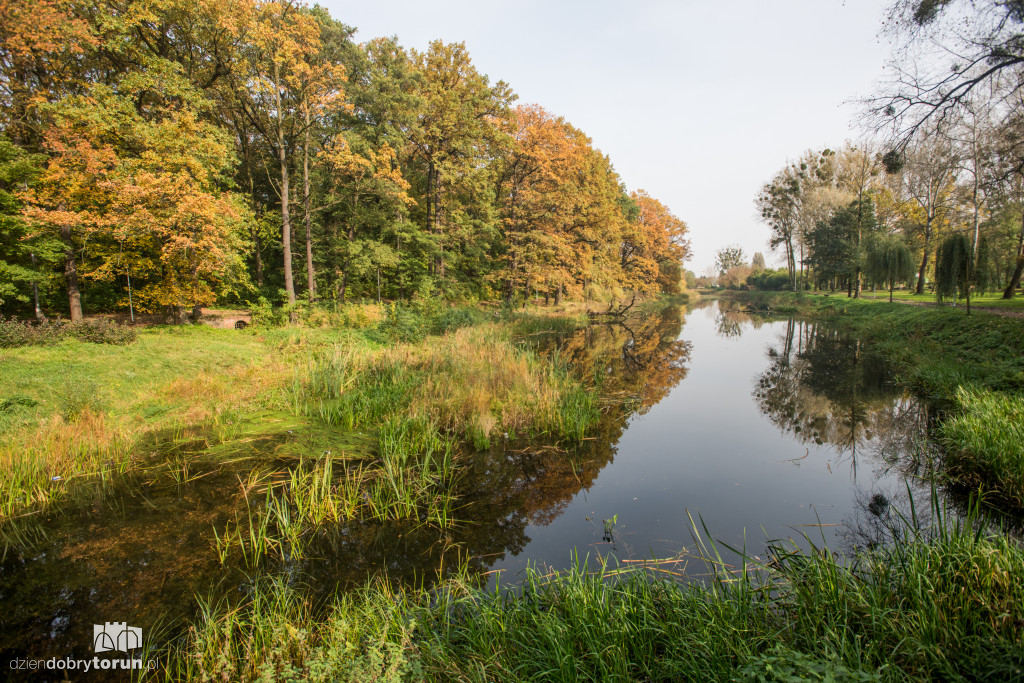 Ale pięknie! Jesień w Toruniu