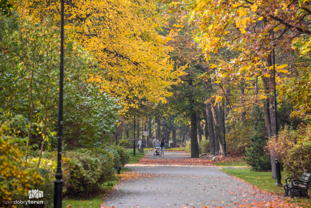 Ale pięknie! Jesień w Toruniu