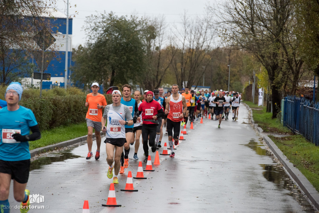 Maratończycy opanowali Toruń