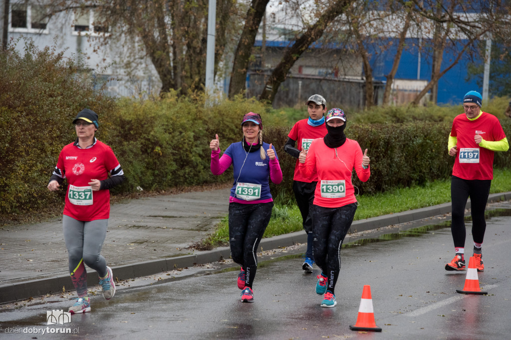 Maratończycy opanowali Toruń