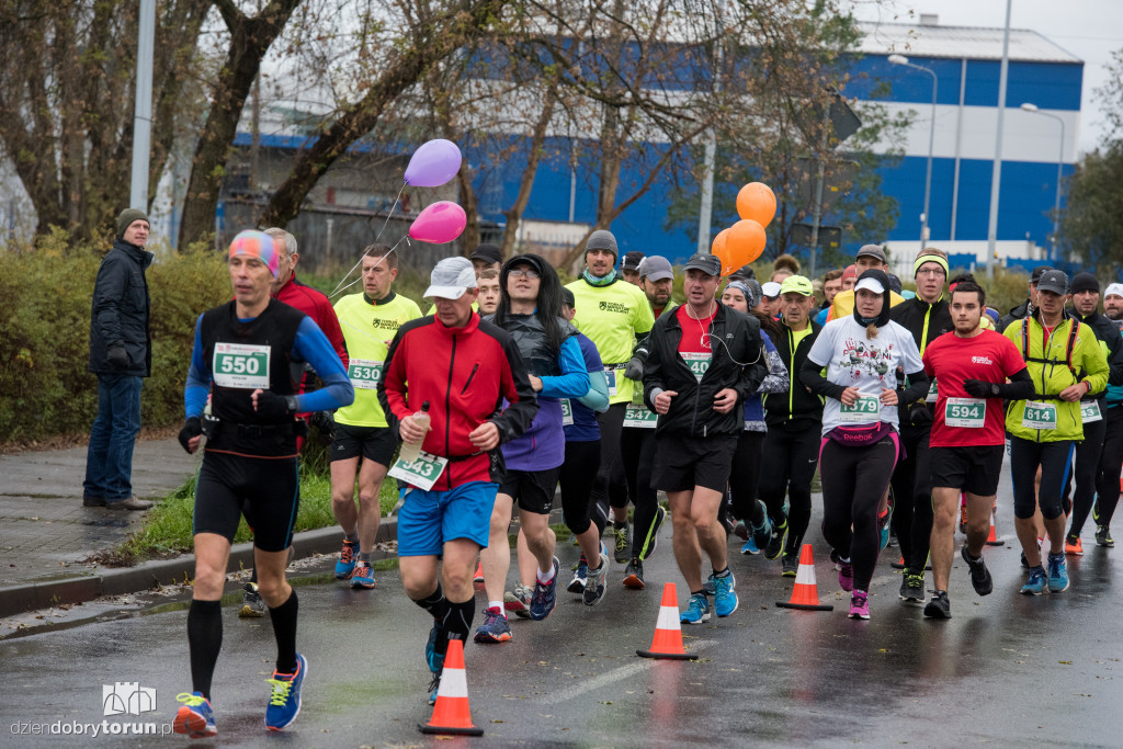 Maratończycy opanowali Toruń