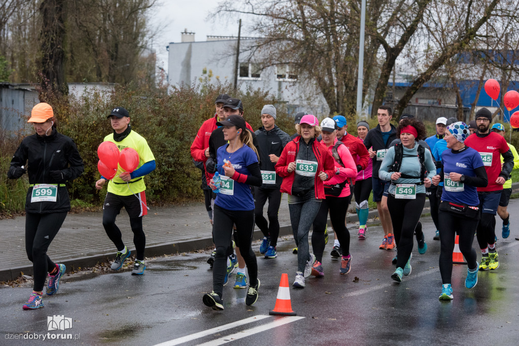 Maratończycy opanowali Toruń