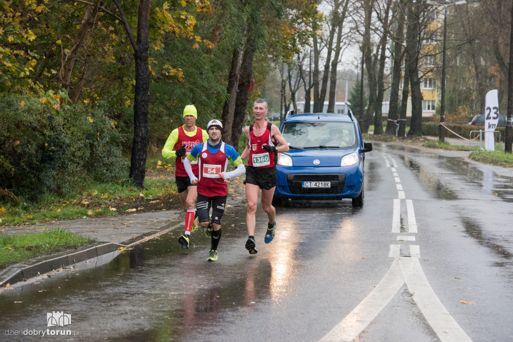 Maratończycy opanowali Toruń