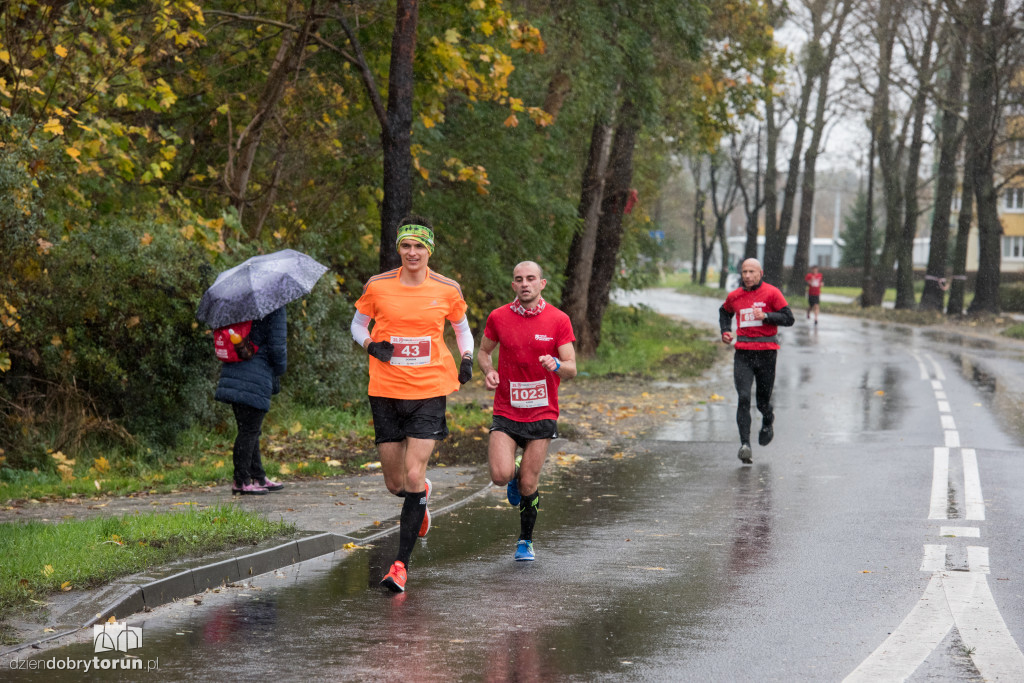 Maratończycy opanowali Toruń