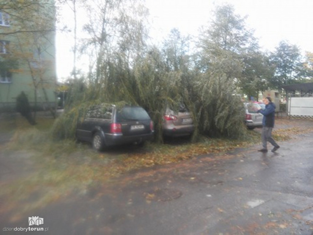 Koszmarny wiatr wyrywał drzewa