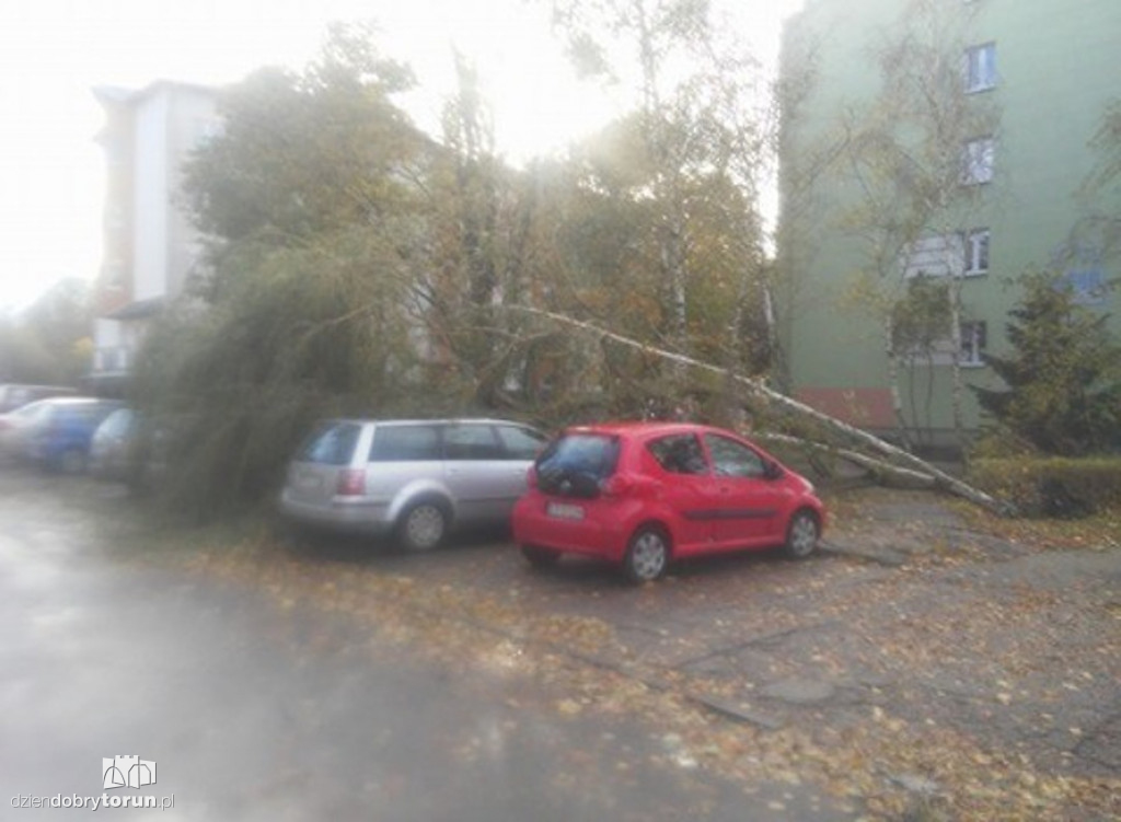 Koszmarny wiatr wyrywał drzewa