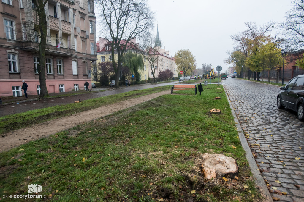 Ale pusto! Piastowska po wycince
