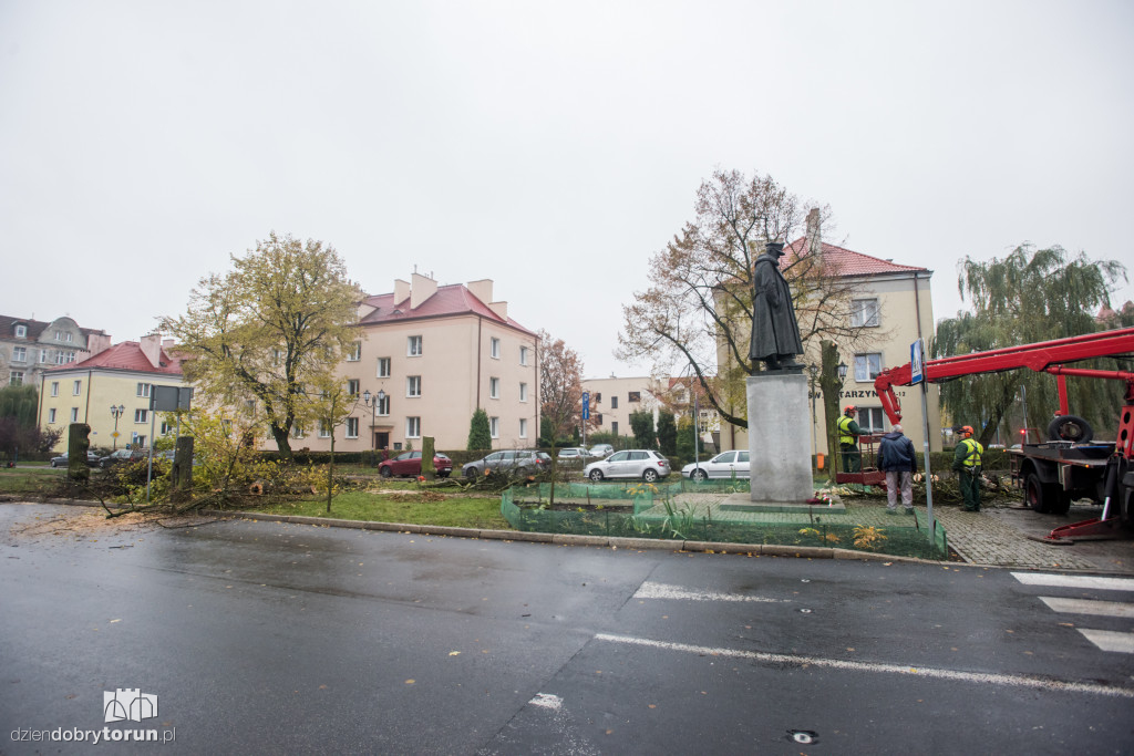Ale pusto! Piastowska po wycince