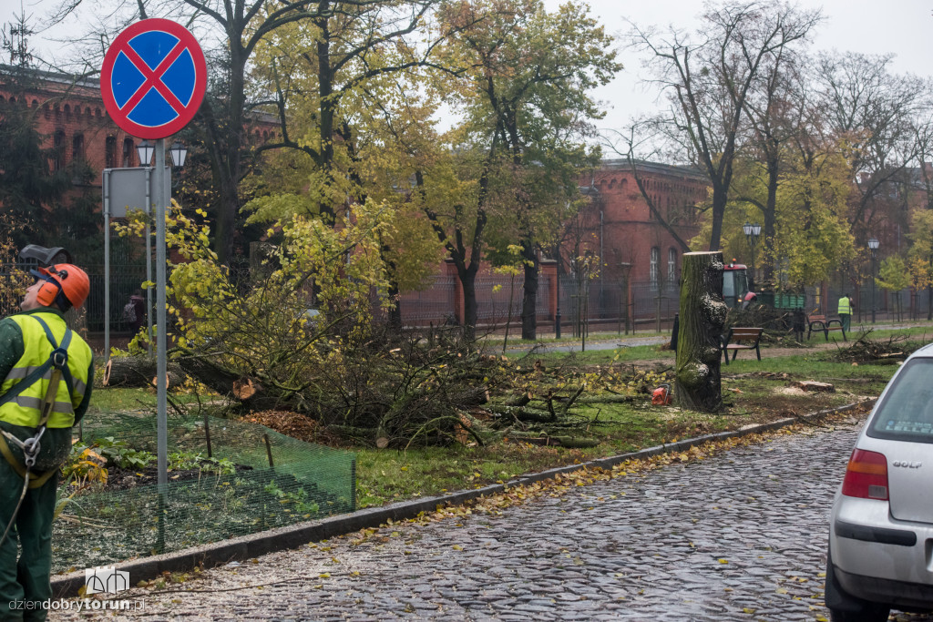 Ale pusto! Piastowska po wycince